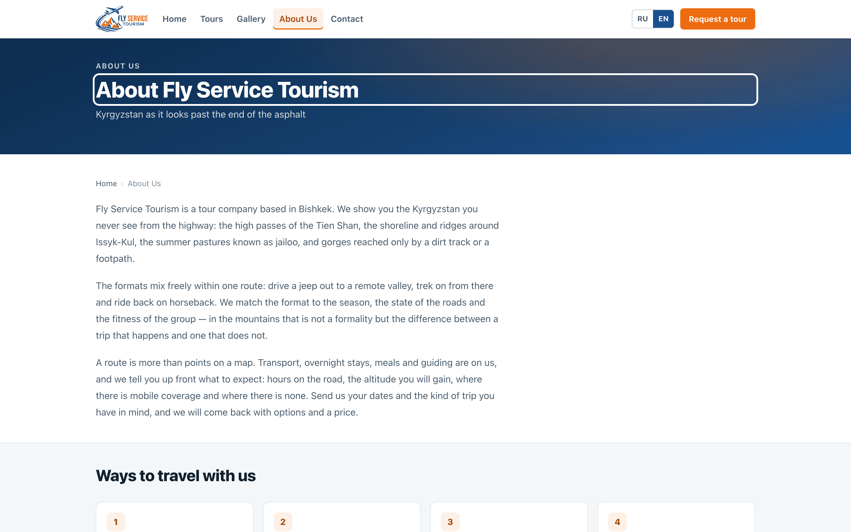 Fly Service Travel