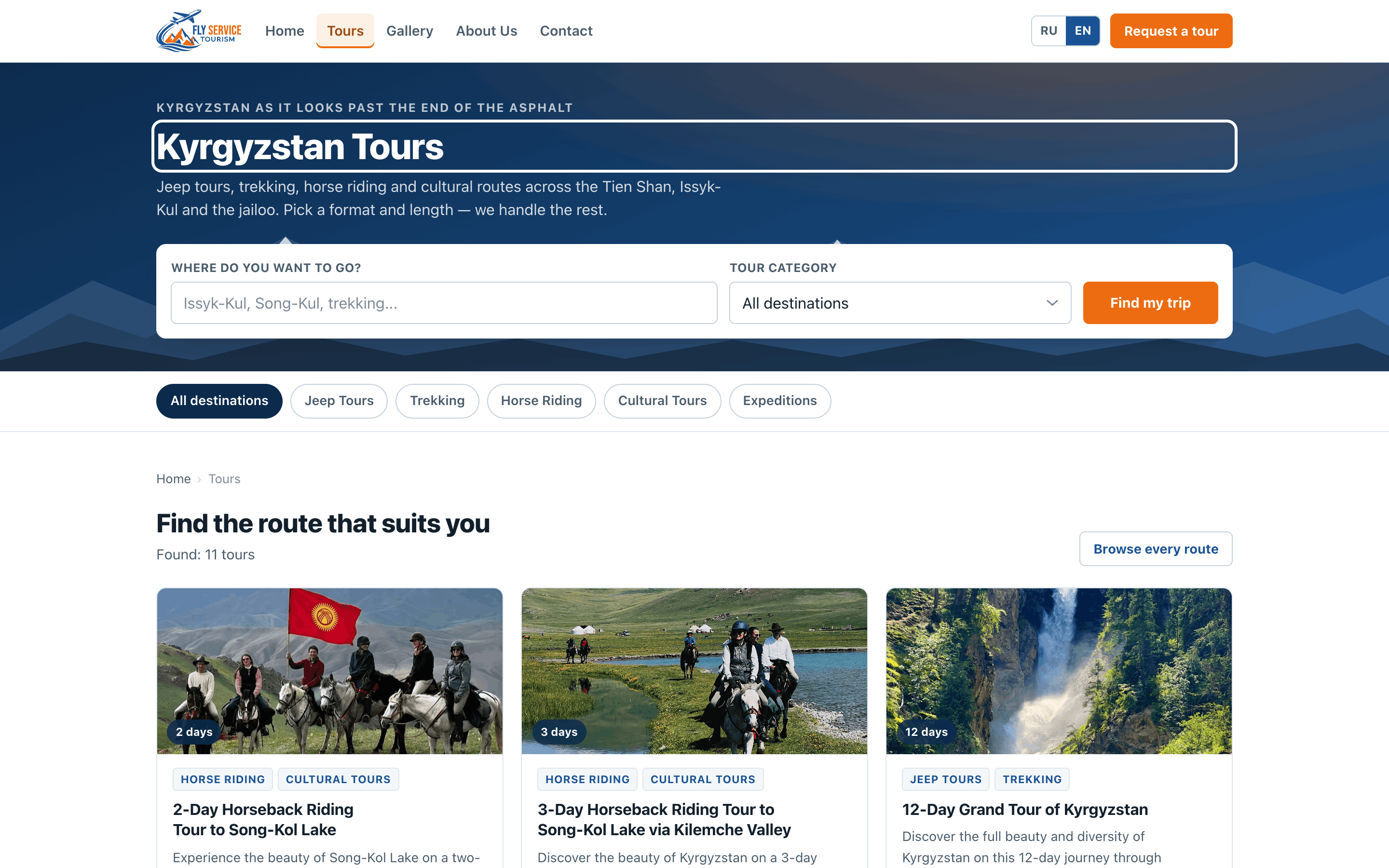 Fly Service Travel